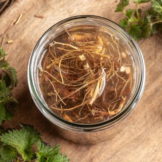 Rădăcina de urzică